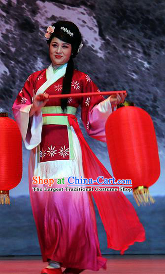 Chinese Huangmei Opera Servant Female Garment Costumes and Headpieces Su Dongpo Traditional Anhui Opera Maidservant Dress Apparels