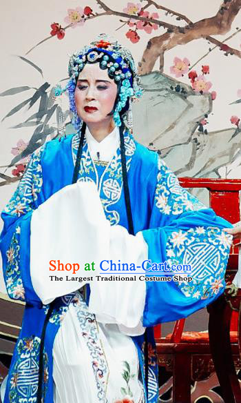 Chinese Shaoxing Opera Old Woman Dress The Jade Hairpin Yue Opera Costumes Elderly Female Apparels Garment and Headpieces