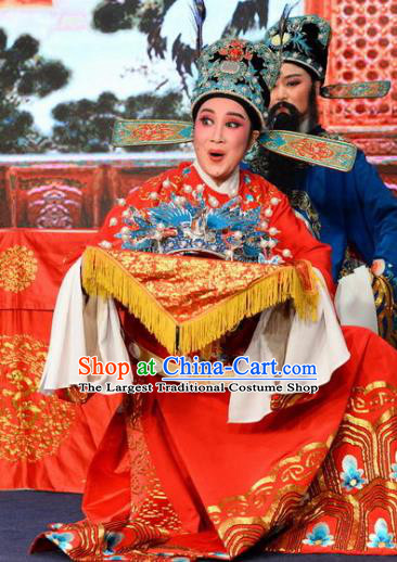 Chinese Classical Shaoxing Opera Number One Scholar The Jade Hairpin Wang Yulin Costumes Garment Yue Opera Apparels Young Male Garment and Hat