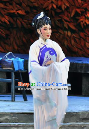 Chinese Huangmei Opera Actress Liu Mingyue Garment Costumes and Headpieces Chun Jiang Yue Traditional Anhui Opera Dress Young Female Apparels