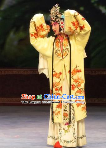 Chinese Ping Opera Young Female Diva Wang Sanqiao Apparels Costumes and Headdress Zhen Zhu Shan Traditional Pingju Opera Hua Tan Dress Garment
