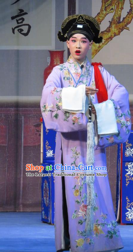 Dream of Red Mansions Chinese Ping Opera Niche Costumes and Headwear Yu Gong Case Pingju Opera Xiaosheng Li Jinlu Apparels Scholar Clothing