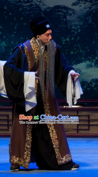 Chinese Ping Opera Old Man Bao Gong San Kan Butterfly Dream Costumes and Headwear Pingju Opera Laosheng Apparels Clothing