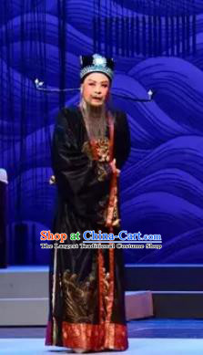 Chinese Yue Opera Prime Minister Apparels The Story of Hairpin Garment Shaoxing Opera Elderly Male Costumes and Hat Complete Set
