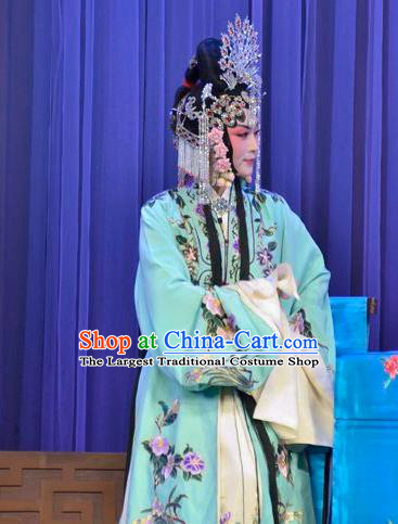 Chinese Ping Opera Cha Ping Ji Young Female Apparels Costumes and Headpieces Traditional Pingju Opera Hua Tan Gong Xiuying Dress Garment