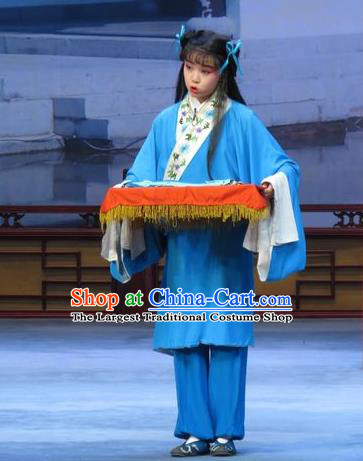 Xue Yu Bing Shuang Chinese Ping Opera Young Boy Costumes and Headwear Pingju Opera Livehand Apparels Servant Clothing