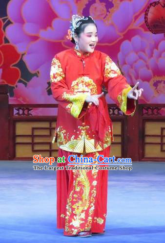 Chinese Ping Opera Elderly Female Ruan Costumes Flower a Matchmaker Apparels and Headpieces Traditional Pingju Opera Old Dame Red Dress Garment