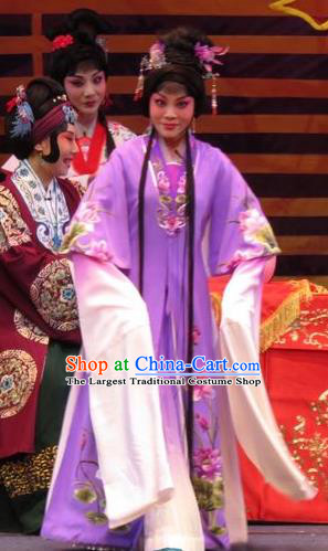 Chinese Ping Opera Hua Tan Purple Apparels Costumes and Headpieces The Five Female Worshipers Traditional Pingju Opera Diva Shuang Tao Dress Garment
