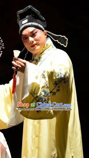 Remember Back to the Cup Chinese Ping Opera Niche Zhang Tingxiu Costumes and Headwear Pingju Opera Apparels Scholar Clothing