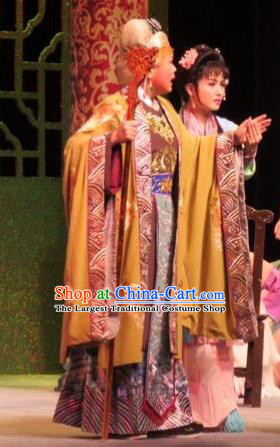 Chinese Ping Opera Vieille Dame Jia Apparels Costumes and Headpieces Baoyu and Daiyu Traditional Pingju Opera Dowager Countess Dress Garment