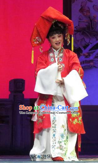 Chinese Shaoxing Opera Bride Apparels and Headdress Yue Opera Tell On Sargam Garment Costumes Young Female Red Dress
