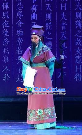 Chinese Yue Opera Elderly Male Costumes and Headwear Han Xing Wei Yang Shaoxing Opera Clothing Garment Han Dynasty Official Apparels