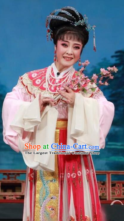 Chinese Shaoxing Opera Hua Tan Costumes and Headpieces Yue Opera San Kan Yu Mei Princess Liu Jinding Garment Apparels Clothing