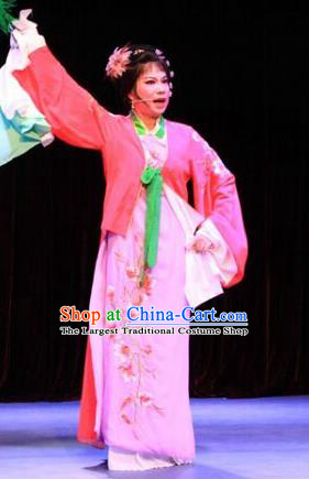 Chinese Shaoxing Opera Envious Female Costumes and Hair Accessories Lions Roar Yue Opera Dress Young Mistress Garment Apparels