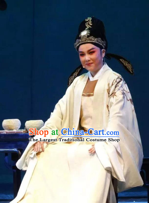 Chinese Yue Opera Niche Scholar Pan Bizheng Apparels Costumes and Headwear Dao Guan Qin Yuan Shaoxing Opera Xiaosheng Scholar Garment