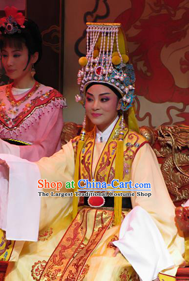 Chinese Yue Opera Young Male Embroidered Robe Emperor and the Village Girl Garment and Headwear Shaoxing Opera Xiaosheng Apparels Costumes