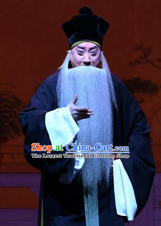 Tell On Sargam Chinese Peking Opera Elderly Male Garment Costumes and Headwear Beijing Opera Laosheng Apparels Old Servant Zhang Zhong Clothing