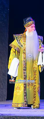 Ru Ji Chinese Peking Opera Laosheng Garment Costumes and Headwear Beijing Opera Elderly Male Apparels Clothing