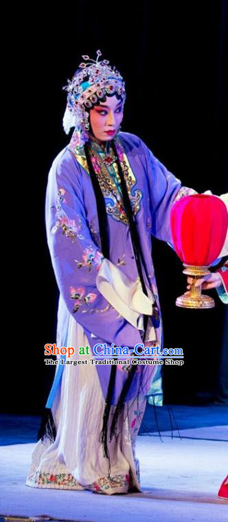 Chinese Beijing Opera Hua Tan Liu Yuyan Apparels Costumes and Headdress Tao Hua Cun Traditional Peking Opera Actress Diva Purple Dress Garment