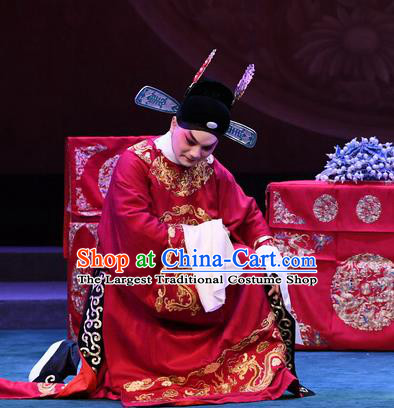 Love of Jade Hairpin Chinese Peking Opera Niche Zhao Qixian Garment Costumes and Headwear Beijing Opera Bridegroom Apparels Scholar Clothing