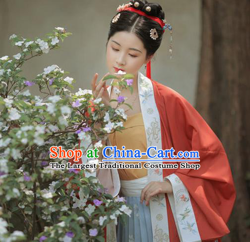 Chinese Traditional Song Dynasty Young Lady Apparels Historical Costumes Ancient Civilian Female Hanfu Dress Garment for Women