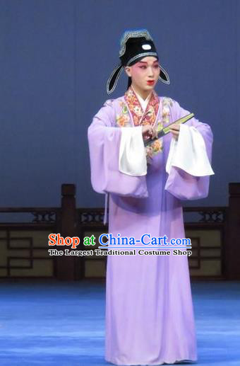 Tao Li Mei Chinese Ping Opera Scholar Hong Xueqin Costumes and Hat Pingju Opera Young Male Purple Robe Apparels Clothing