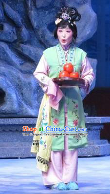 Chinese Ping Opera Young Lady Apparels Costumes and Headpieces Tell on Sargam Traditional Pingju Opera Xiaodan Dress Servant Girl Garment