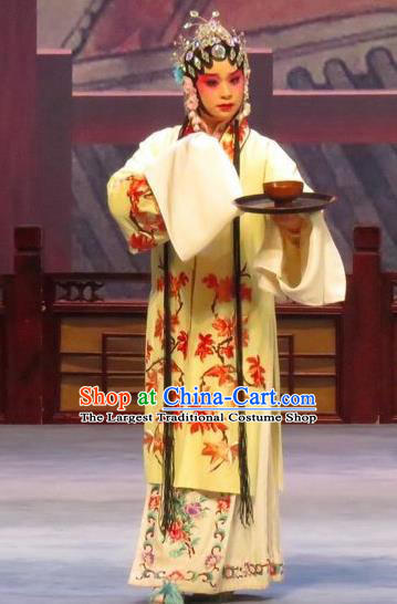 Chinese Ping Opera Diva Liu Lanzhi Apparels Costumes and Headpieces Southeast Fly the Peacocks Traditional Pingju Opera Young Female Dress Garment