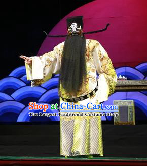 Chinese Ping Opera Official Bao Zheng Apparels Palm Civet for Prince Costumes and Headwear Pingju Opera Laosheng Clothing