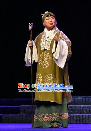 Chinese Beijing Opera Old Female Apparels Qing Tian Dao Costumes and Headpieces Traditional Peking Opera Dame Dress Elderly Woman Garment