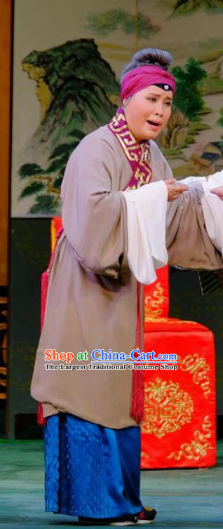 Chinese Beijing Opera Dame Apparels Ba Zhen Tang Costumes and Headpieces Traditional Peking Opera Elderly Female Dress Pantaloon Sun Shulin Garment