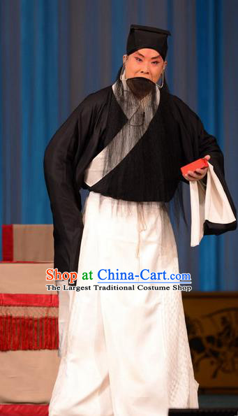 Zhu Sha Zhi Chinese Peking Opera Laosheng Garment Costumes and Headwear Beijing Opera Apparels Old Man Clothing