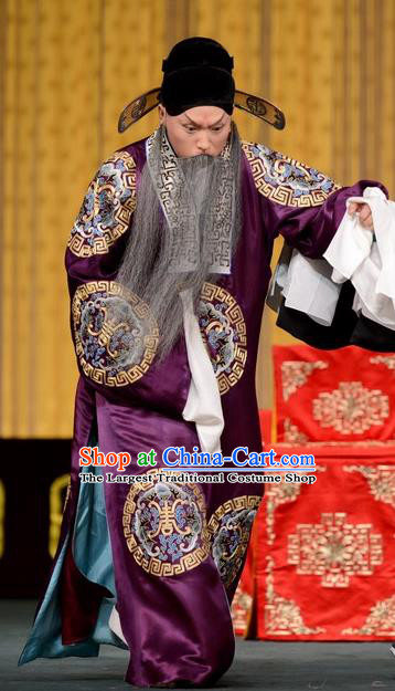 Hong Yang Dong Chinese Peking Opera Elderly Male Garment Costumes and Headwear Beijing Opera Laosheng Apparels Landlord Yang Yanzhao Clothing