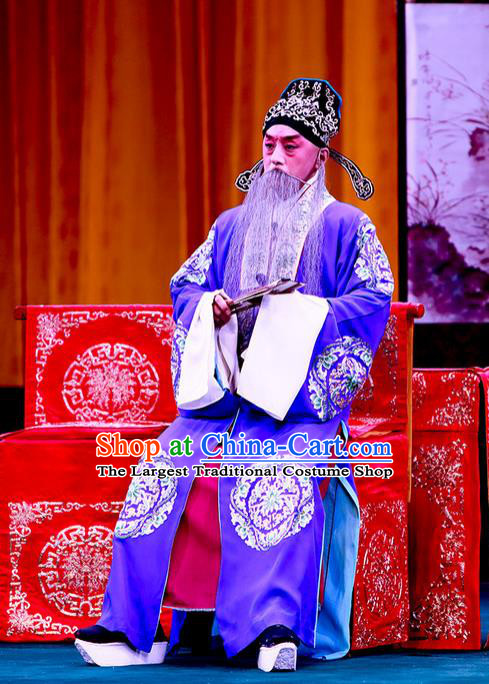 Shi Wen Hui Chinese Peking Opera Laosheng Garment Costumes and Headwear Beijing Opera Elderly Male Apparels Landlord Shen Zhong Clothing