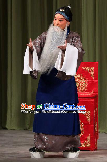 Xing Han Tu Chinese Peking Opera Laosheng Garment Costumes and Headwear Beijing Opera Elderly Male Zhang Cang Apparels Clothing