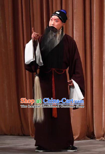 Xing Han Tu Chinese Peking Opera Scholar Zhang Cang Garment Costumes and Headwear Beijing Opera Laosheng Apparels Old Man Clothing