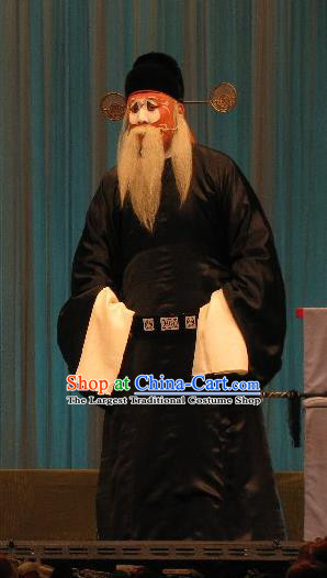 Fish and Algae Palace Chinese Peking Opera Old Official Garment Costumes and Headwear Beijing Opera Elderly Male Apparels Clothing