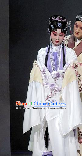 Chinese Beijing Opera Hua Tan Tang Wan Garment Costumes and Hair Accessories Traditional Peking Opera Actress Dress Young Mistress Apparels