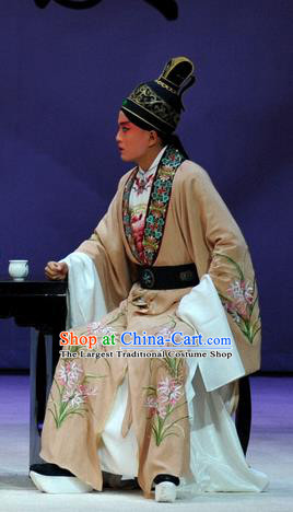 Tang Wan Chinese Peking Opera Scholar Apparels Costumes and Headpieces Beijing Opera Poet Lu You Garment Young Male Clothing