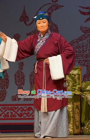 Chinese Beijing Opera Dame Garment Legend of Xu Mu Costumes and Hair Accessories Traditional Peking Opera Laodan Dress Pantaloon Apparels