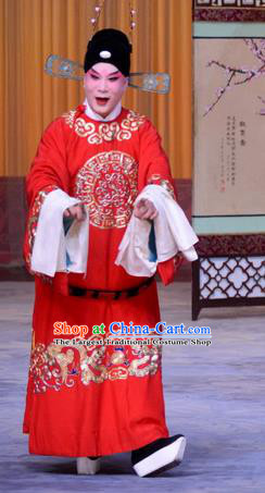 The Jade Hairpin Chinese Peking Opera Scholar Zhao Qixian Apparels Costumes and Headpieces Beijing Opera Xiaosheng Garment Young Male Clothing
