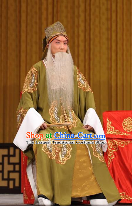 Ding Sheng Chun Qiu Chinese Peking Opera Laosheng Apparels Costumes and Headpieces Beijing Opera Elderly Male Garment Clothing