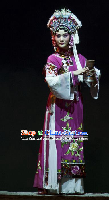 Chinese Beijing Opera Queen Garment Consort Bai Jie Costumes and Hair Accessories Traditional Peking Opera Diva Dress Hua Tan Purple Apparels