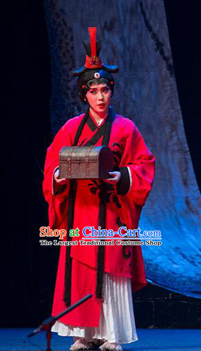 Chinese Sichuan Opera Maid Lady Costumes and Hair Accessories Hui Lan Ji Traditional Peking Opera Servant Girl Red Dress Apparels