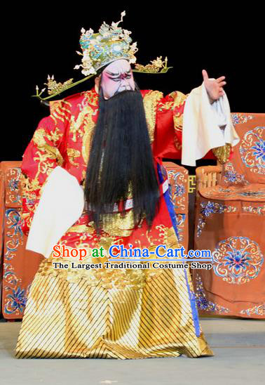 Fen Xiang Ji Chinese Sichuan Opera Official Apparels Costumes and Headpieces Peking Opera Laosheng Garment Elderly Male Python Embroidered Robe Clothing