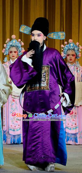 Jin Dian Shen La Chinese Sichuan Opera Laosheng Apparels Costumes and Headpieces Peking Opera Elderly Male Garment Minister Clothing