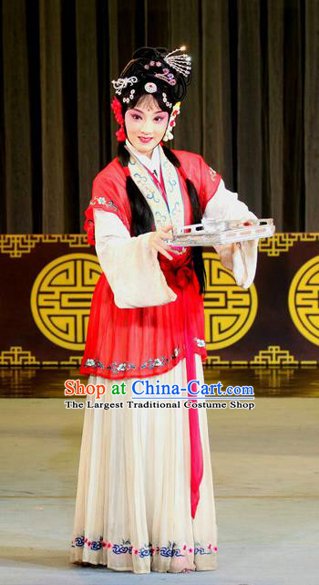 Chinese Sichuan Opera Actress Zhao Xia Garment Costumes and Hair Accessories Traditional Peking Opera Zhai Hong Mei Hua Tan Dress Young Lady Apparels