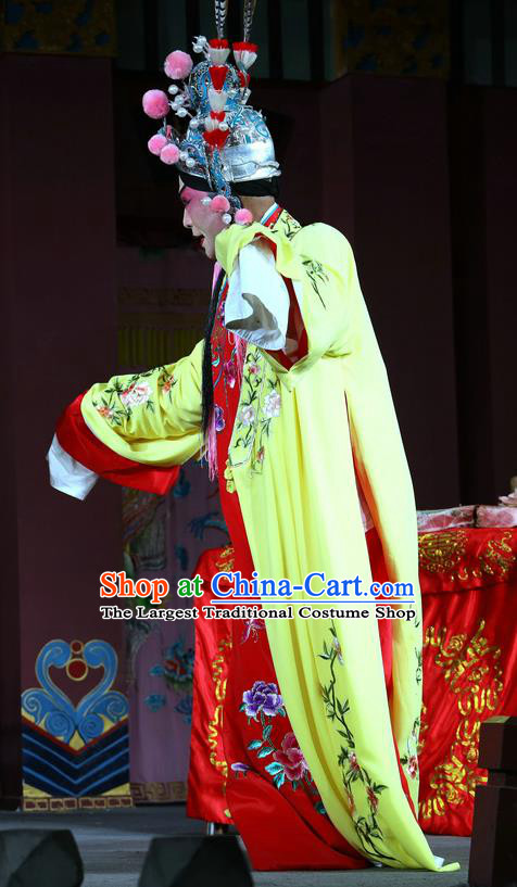 Chu Gong Hui Chinese Sichuan Opera Prince Jian Apparels Costumes and Headpieces Peking Opera Xiaosheng Garment Young Male Clothing