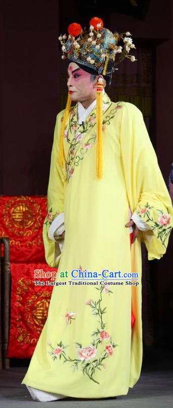 Return of the Phoenix Chinese Sichuan Opera Young Male Apparels Costumes and Headpieces Peking Opera Xiaosheng Garment Clothing