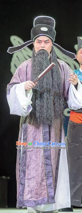 Bao En Ji Chinese Sichuan Opera Laosheng Apparels Costumes and Headpieces Peking Opera Elderly Male Garment Official Wen Datong Clothing
